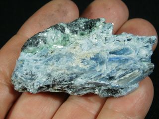 A Small 100 Natural Light BLUE Paraiba KYANITE Crystal Cluster 50.  7gr e 2