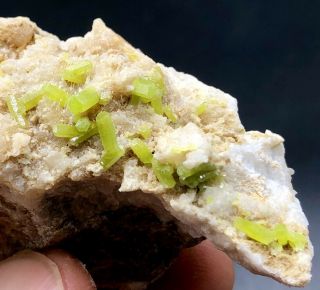 Natural Lovely Green Pyromorphite Crystal Mineral Specimen