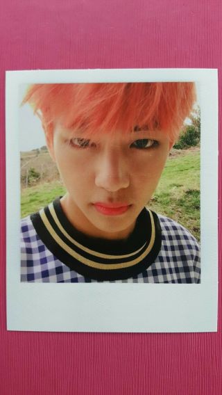 Bts V Taehyung Official Polaroid Photocard Special Album Young Forever 뷔
