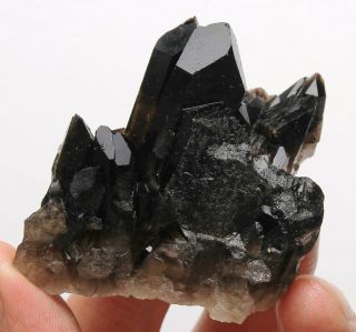 65g Natural Beauty Rare Black Quartz Crystal Cluster Mineral Specimen 853