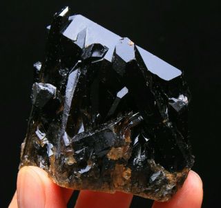 87g Natural Beauty Rare Black Quartz Crystal Cluster Mineral Specimen 852