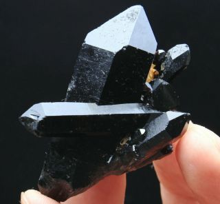 35g Natural Beauty Rare Black Quartz Crystal Cluster Mineral Specimen 851