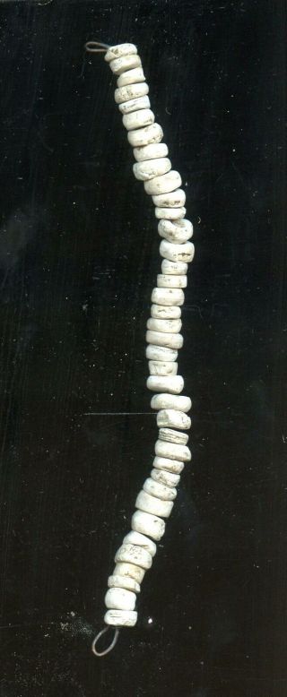 Indian Artifacts - Strand Shell Beads - Glovers Cave Site
