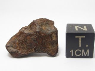 5.  72 G Agoudal Iron Meteorite