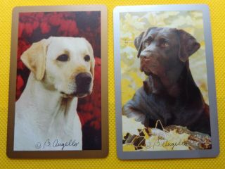 Dogs,  Signed By C B Augello,  Swap Playing Cards.