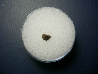 Nwa 960 Meteorite Oc3 Chondrite Rare Northwest Africa Very Low Tkw Imca