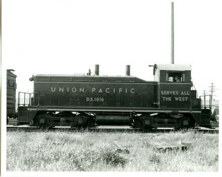8x10 B/w Photos (3) Up Union Pacific Nw2 1016 In Paint