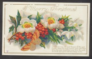 C3308 Victorian Goodall Xmas Card: Moth & Holly