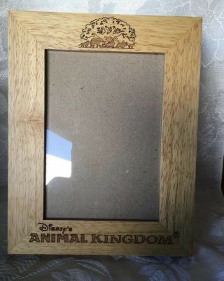 Disney Animal Kingdom 5 " X 7 " Photo Size Wood Picture Frame L@@k.