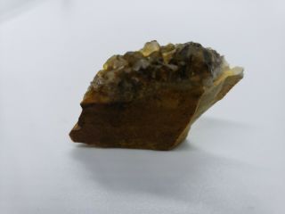 Smoky quartz crystal cluster central Ohio flint region 19.  4g 1x.  75x.  5 3