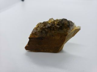 Smoky quartz crystal cluster central Ohio flint region 19.  4g 1x.  75x.  5 4