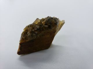 Smoky quartz crystal cluster central Ohio flint region 19.  4g 1x.  75x.  5 5