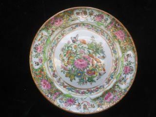 Famille Rose 9&3/4 Inches Plate