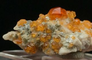 4.  3G Natural Red Spessartine Garnet Fenda Quartz Crystal Rough Mineral Specimens 5