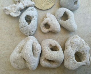 10 Small Medium Beach Natural Pebbles Stone Rock With Holes Wow From Israel 1