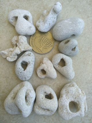 10 small Medium Beach Natural Pebbles Stone Rock with holes WOW from Israel 1 2