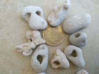 10 small Medium Beach Natural Pebbles Stone Rock with holes WOW from Israel 1 3