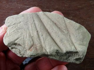 Outstanding Mississippian Sandstone Abrader,  Famous Starr Site Macoupin Co. ,  Il.