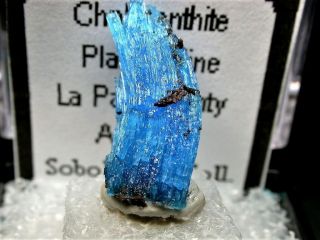 Minerals : Fibrous Blue Chalcanthite From Arizona,  Usa