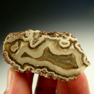 Calcite - Aragonite Pseudomorph After Wood Rare Kadan,  Czech Republic