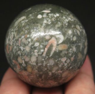 40mm 3.  1oz Natural Crinoid Fossil Jasper Crystal Sphere Ball