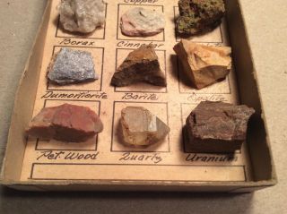 Specimens From The Desert 12 Mineral Display Box 2