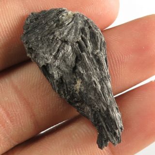 30.  10 Cts 100 Natural Black Kyanite Gemstone Fancy Rough Mineral 36x17 Mm