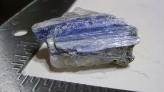 1 1/4 " X 2 " Thumbnail Kyanite W/mica On Quartz Matrix - Barra De Salinas,  Brazil
