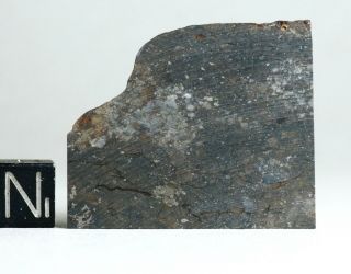 Meteorite Nwa 11344 - L3 - 4 (s3/w0 - 1) Chondrite Large Thin Slice 8.  11g
