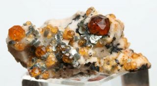 7.  1g Natural Smoky Quartz Garnet On Dolomite Mineral Specimen