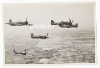 Raf Pakistan Air Force Hawker Tempest Ii Formation Photograph