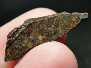 Nwa 10442 Official Meteorite - H3.  9 Type 3 Chondrite - G640 - 0096 - 0.  93g W/coa