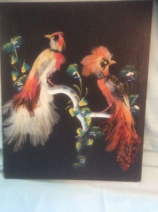 Vintage Mexican Folk Art Real Feathers Feathered Birds Painted Picture Unframed.