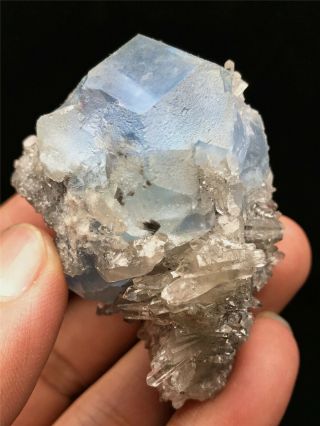 90g Rare Beauty Transparent Blue Cube Fluorite Cluster Mineral Specimen China
