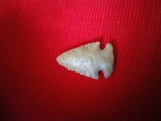Authentic Ohio Dovetail Early Archaic Corner Notch Arrowhead Indian Artifact 8