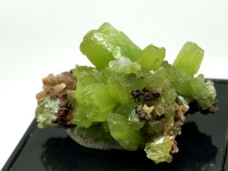 13g Beautifu Natural Green Pyromorphite Crystal Cluster Rare Mineral Specimens 2
