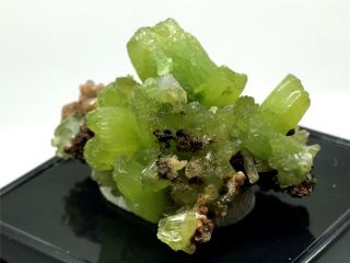 13g Beautifu Natural Green Pyromorphite Crystal Cluster Rare Mineral Specimens 3