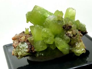 13g Beautifu Natural Green Pyromorphite Crystal Cluster Rare Mineral Specimens 4