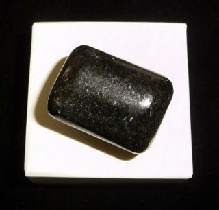 Dino: Xl Black Tourmaline Crystal Tumbled Chakra Stone,  Brazil - 20 Grams
