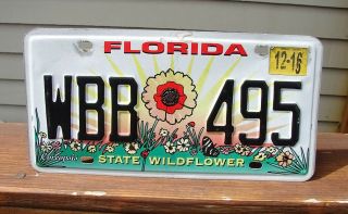 Florida Wild Flowers License Plate (3,  Plates) Wbb 495