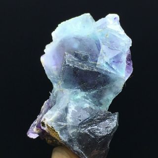 81gnatural Purple Phantom Cube Blue Fluorite Mineral Specimen/inner Mongolia