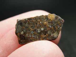 Nwa 10442 Official Meteorite - H3.  9 Type 3 Chondrite - G640 - 0098 - 0.  85g W/coa