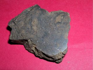 Al Haggounia 001 Meteorite: 65.  5 Gram Polished End Cut