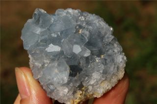 102.  6 Natural Blue Celestite Geode Quartz Crystal Mineral Specimen Healing