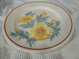 Syracuse China Burlington Railroad? Dinner Plate - Floral Pattern Rare