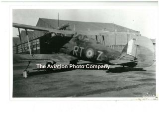 Raf Gloster Gladiator N5829 Vintage Photograph