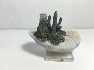 Geode With Pewter Train/Locomotive In The Desert On Top Geode Crystal Fossil 3