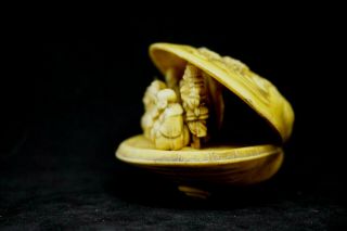 Vintage Japanese Chinese folk art Celluloid clam shell prefer for gift 3
