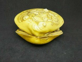 Vintage Japanese Chinese folk art Celluloid clam shell prefer for gift 6