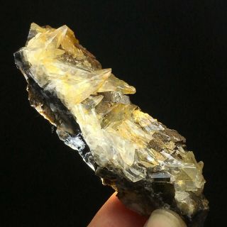 137.  5Natural Yellow Dog Tooth Wheels Calcite Crystal Cluster Mineral Specimen 2